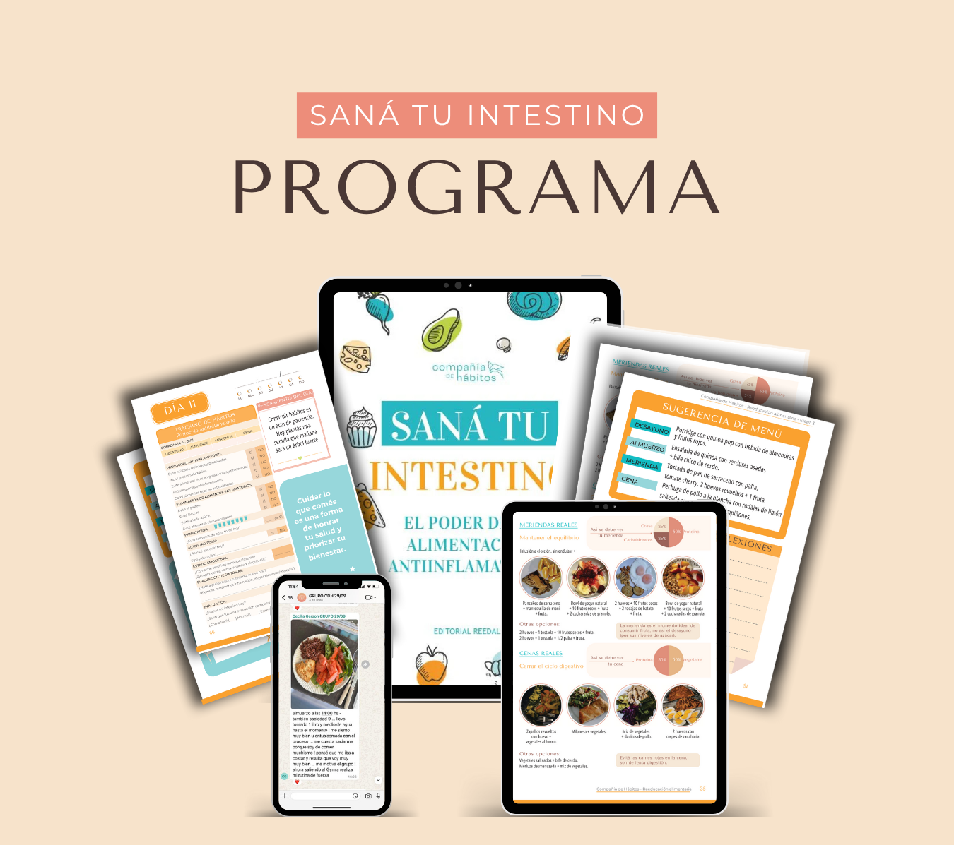 Programa digital + Ebook + Acompañamiento 7 días - Saná tu Intestino